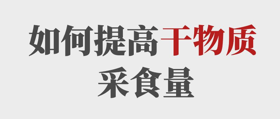 做到這5點(diǎn)提高育肥牛的干物質(zhì)采食量！